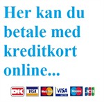 Betal online for dine vare med kreditkort